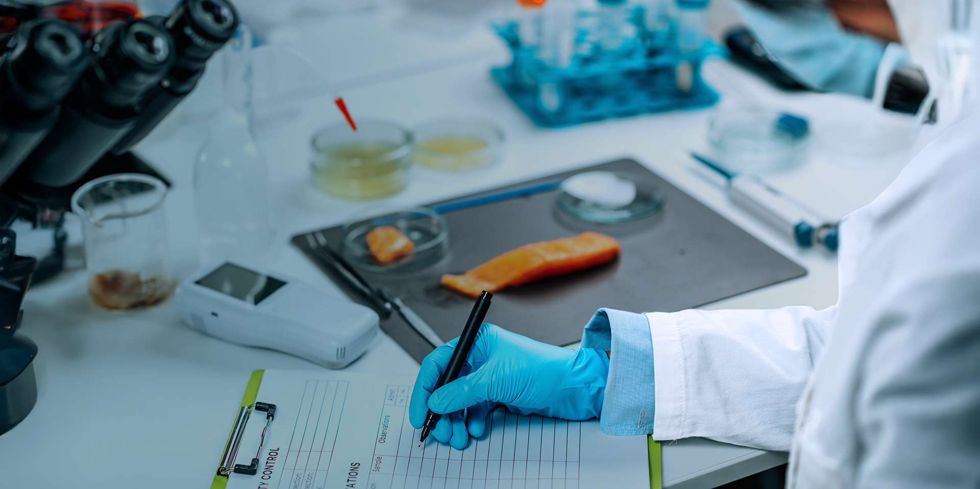 Máster Online en Gestión de Industrias Agroalimentarias