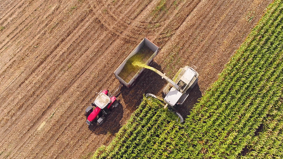 Nuevos retos del sector agroalimentario