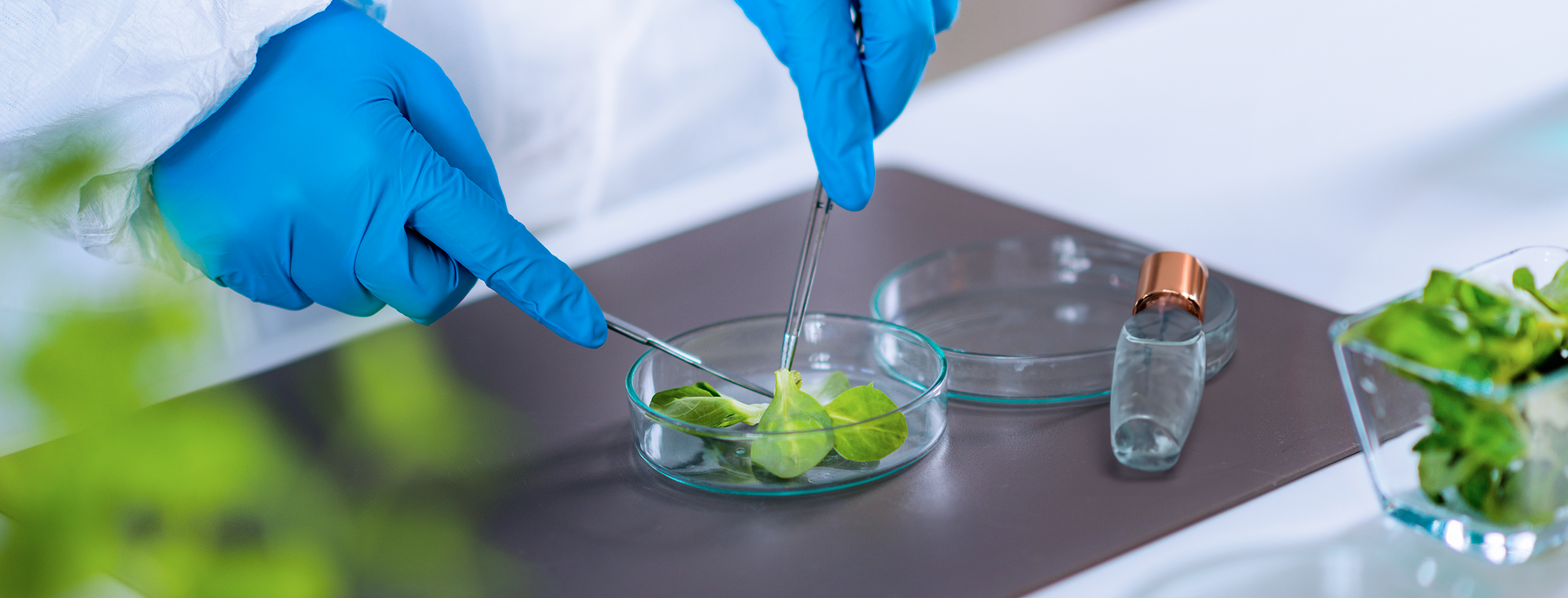 Industria cosmética en España: ¿es posible la innovación y la sostenibilidad?