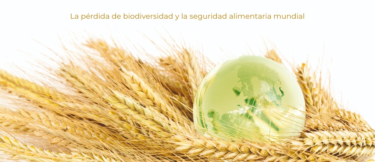 Seguridad alimentaria mundial y pérdida de biodiversidad